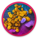 Logo of Coronavirus COVID 19 live tracker & symptoms android Application 